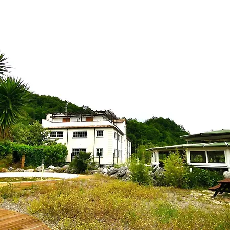 Il Cenobio - Cilento Apartment