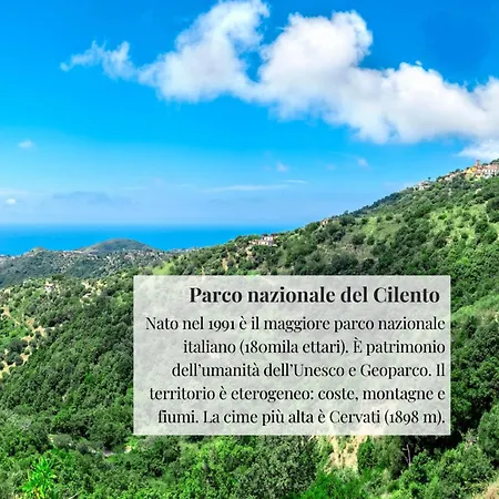 شقة Il Cenobio - Cilento مدينة سان غيوفاني أبيرو